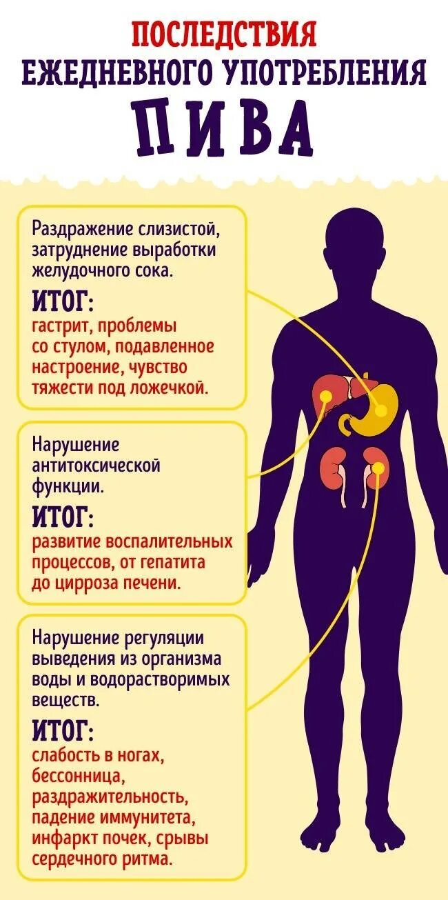 Что будет если пить каждый. Если пить пиво каждый день. если пить пивоаждый день. что будет если пить п во. что будет если пить алкоголь каждый день.