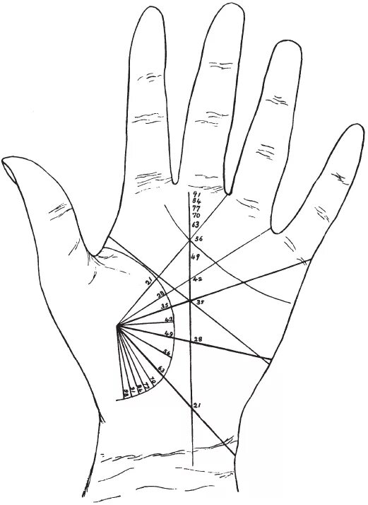 Линия жизни на руке значение у женщин. Линия жизни хиромантия линия смерти. Линия жизни Датировка хиромантия. Хиромантия линия смерти на ладони. Хиромантия линия рук линия смерти.