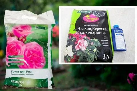 Какая земля для роз