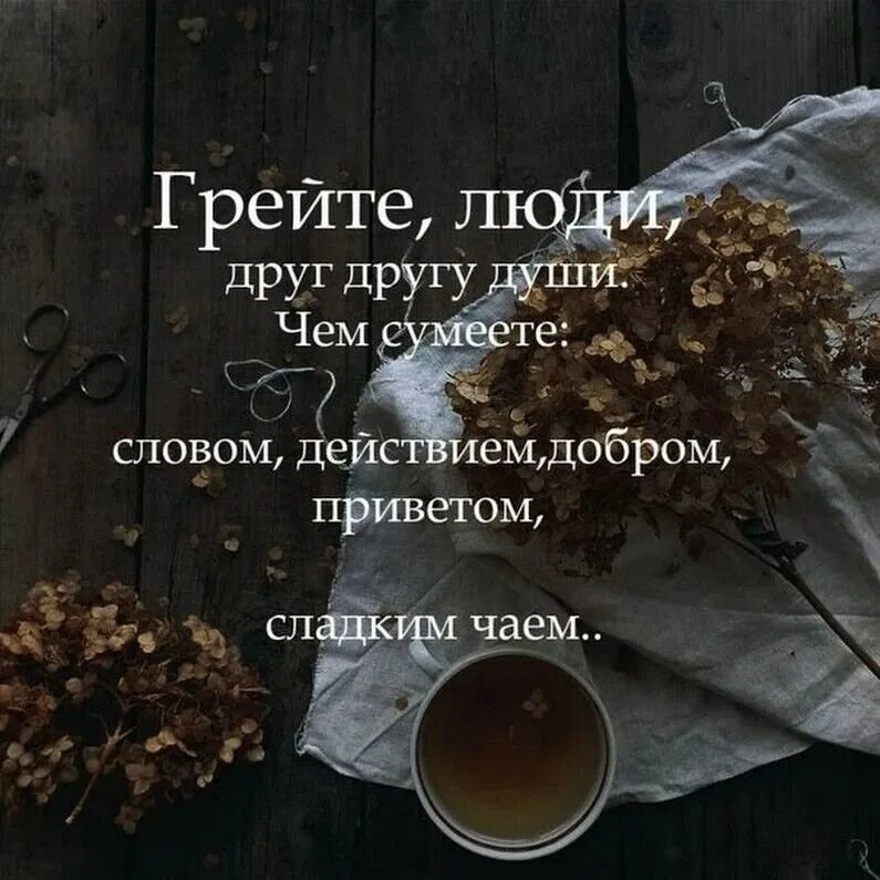 Согревающие цитаты. Доброе утро мудрые высказывания. добрые пожелания и высказывания. цитаты про утро. доброе утро цитаты.