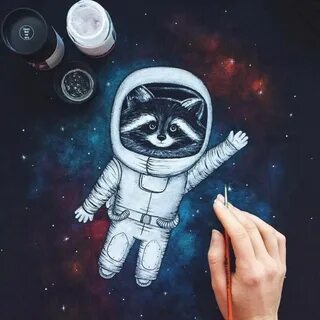 Космический енот