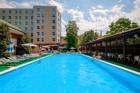 Ольгинка краснодарский край кипарис