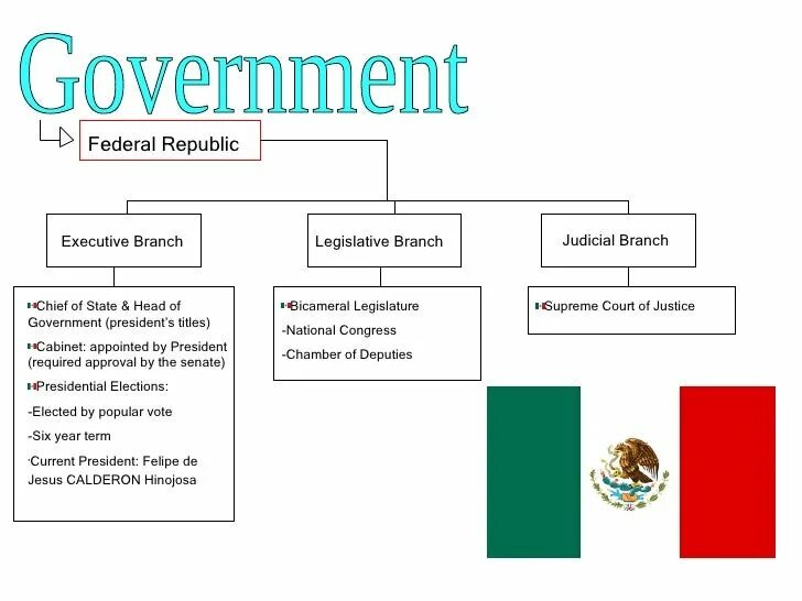 Judicial Branch in the USA схема. Branches of government. The Executive Branch of the government доклад. Judicial Branch in the USA схема черно-белая.