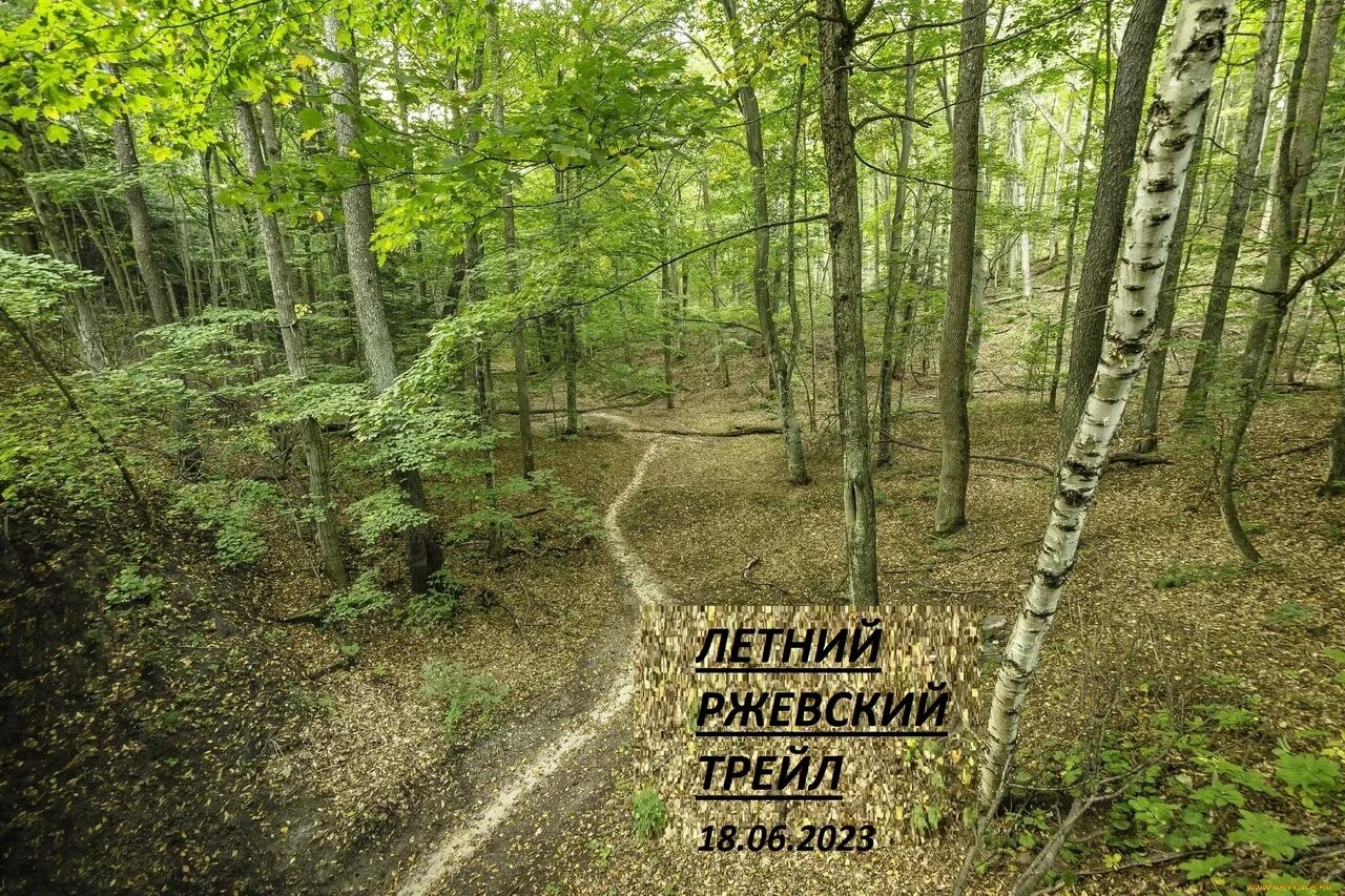Дом лесные тропы