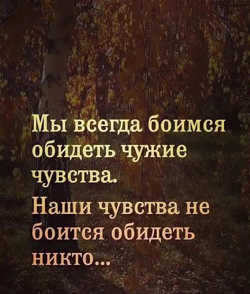 Высказывания про эмоции и чувства. Наши чувства не боится обидеть. Книга иди сюда. Не стесняйтесь своих чувств и желаний. Не бойся проявлять чувства.