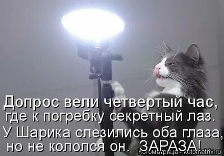 Где мой час