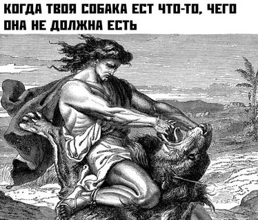 Погубила самсона