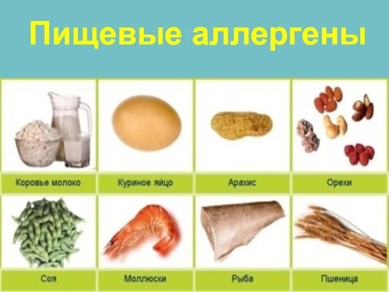 Большую восьмерку пищевых аллергенов. Гостиница центральная брянск. Древо греха иоанна лествичника. Пищевые аллергены. Схема грехов по иоанну лествичнику.