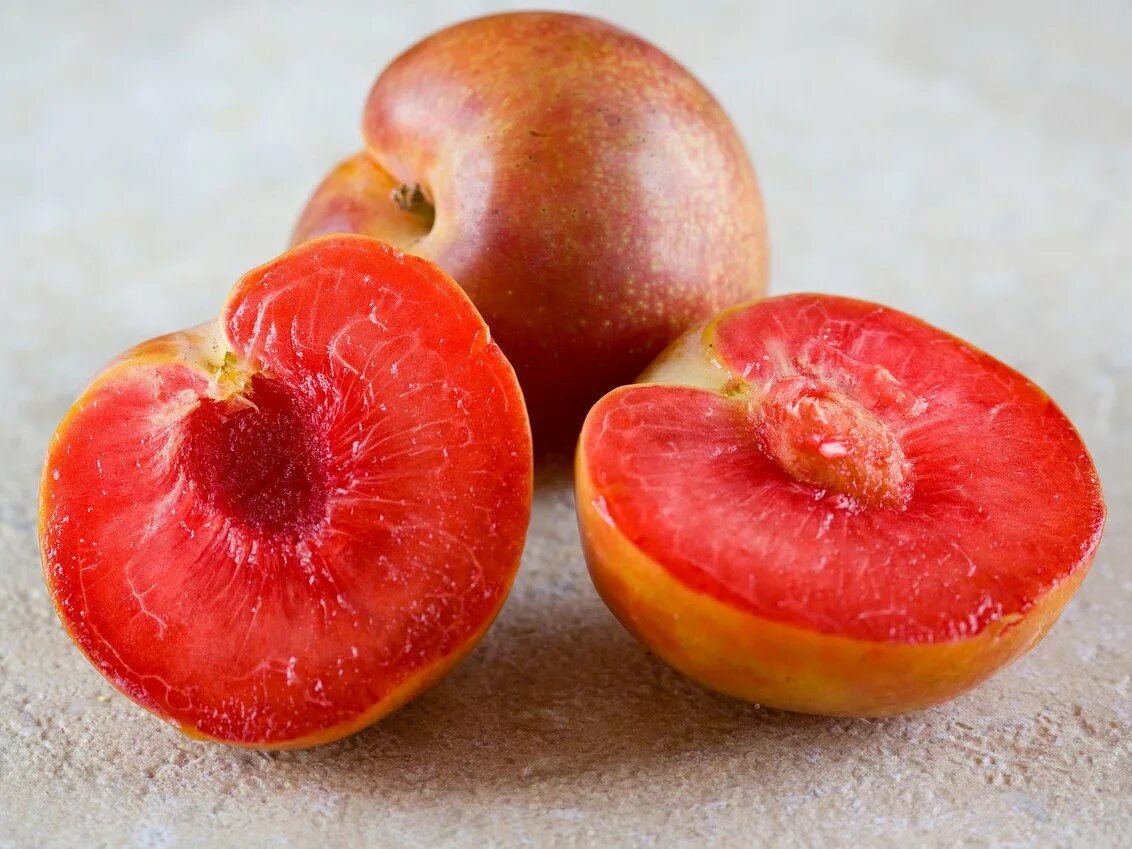 Персик слива абрикос как называется. Гибрид слива персик абрикос шарафуга. Абрикос нектарин АПРИУМ.