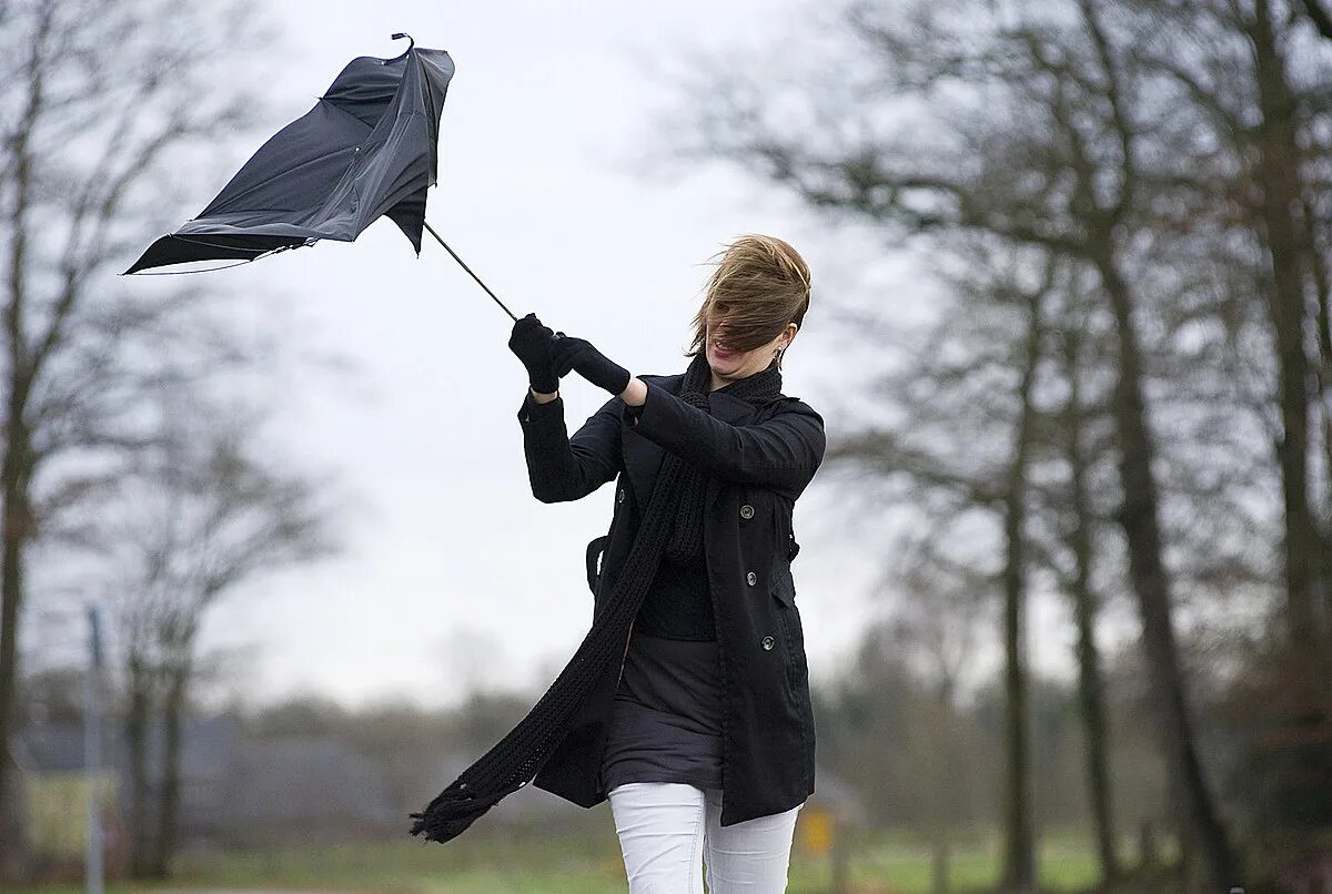 Das wind