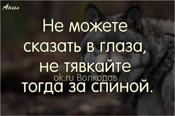 Песня бывший всегда за спиной говорят. Не можешь сказать в глаза не тявкай за спиной. не можете сказать в глаза не тявкайте тогда. не можете сказать в глаза не тявкайте за спиной. не можете сказать в глаза не тявкайте тогда за спиной.