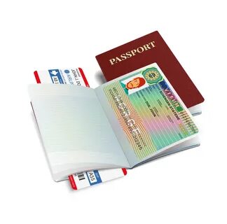 Виза в бельгию 2024