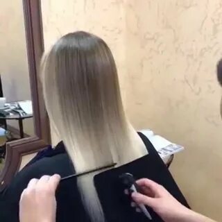 Четкий срез зеленоград