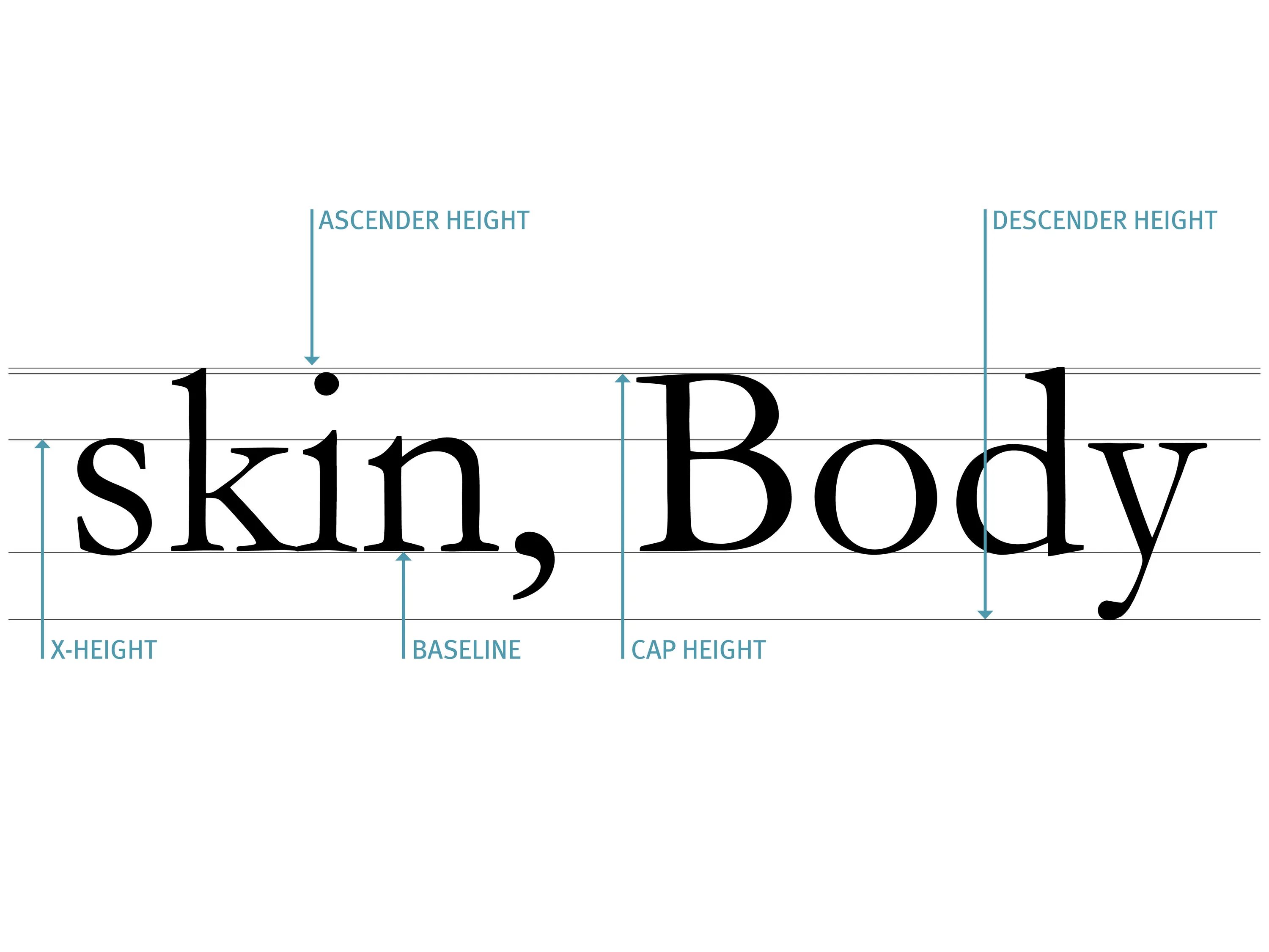 Font x height. Строение шрифта. x-height шрифт. font и light-height. сетка типографика.
