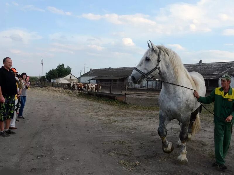 Лыжня россии 2023 базарный карабулак. Татары базарного-карабулака. Село вязовка базарно-карабулакского района саратовской области. Вязовка саратовская область базарный карабулак. Погода в базарном карабулаке на неделю.