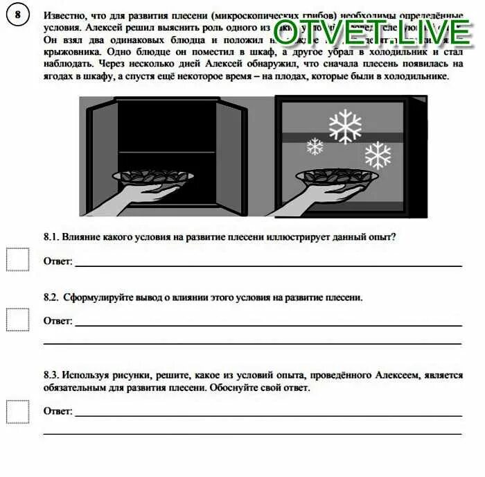 Влияние какого условия на развитие плесени иллюстрирует. Условия для развития плесени. Известно что для развития плесени. Какое условие является обязательным для развития плесени. Известно что для развития плесени необходимы определенные условия.