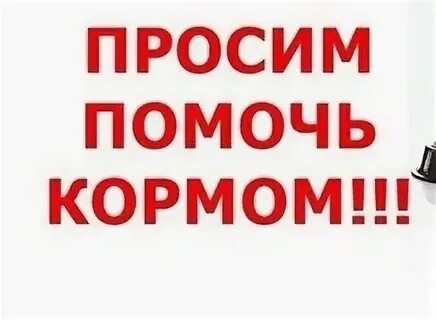 Помоги отправить