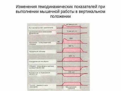 Определи изменения в сосудах