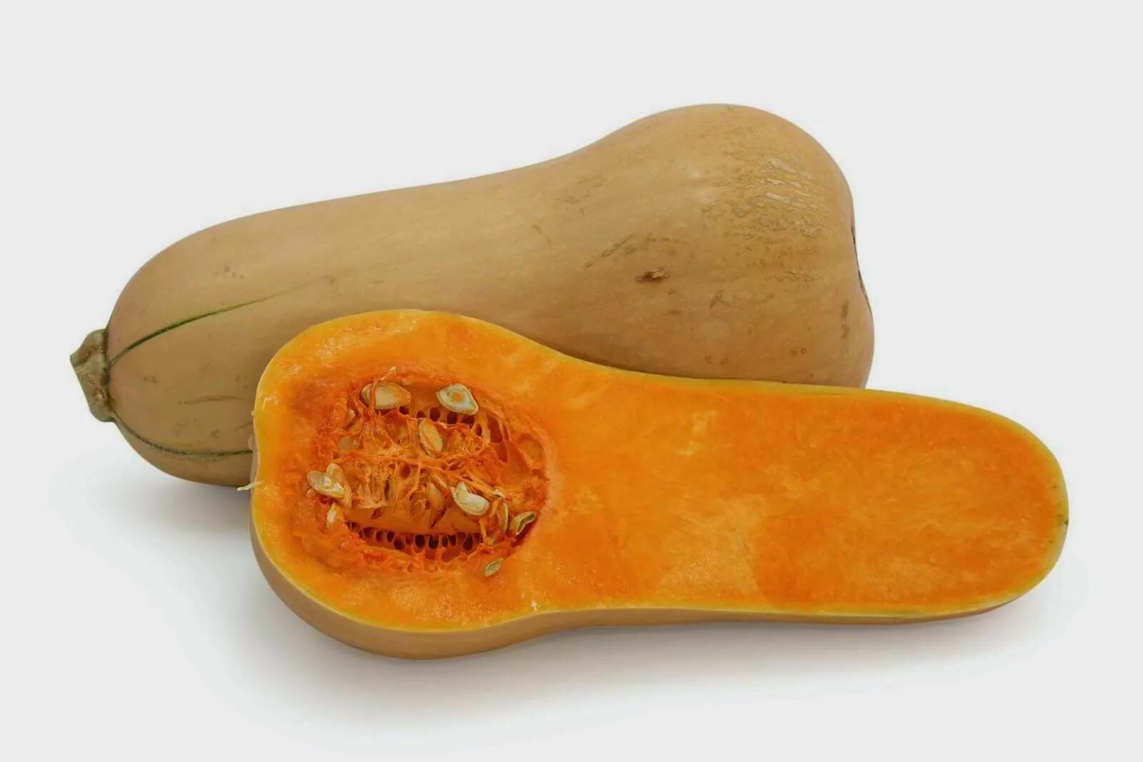 Squash овощ. Squash овощ. Летний сквош овощ. Тыква мускатная арабатская. Тыква баттернат сквош.