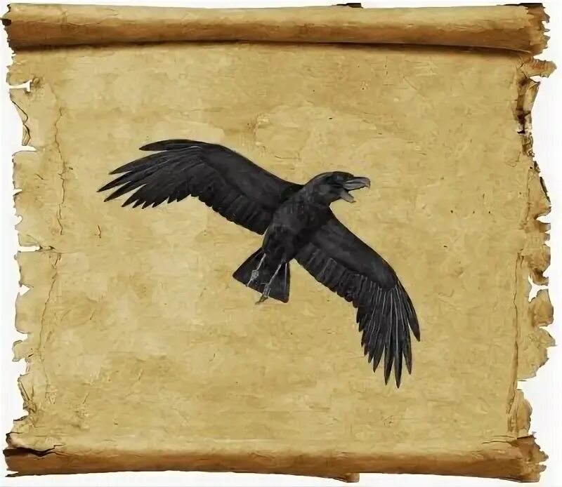 Девочка в красной куртке кормит бел. Аппликация ворона и лисица. Заговор 33 вороны на соперницу. Летят 33 вороны несут. Летят 33 вороны несут.