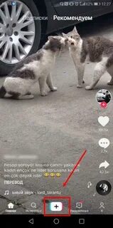 Формат в тик токе