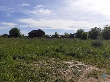 Еремино московская область дмитровское
