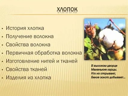 Хлопок история