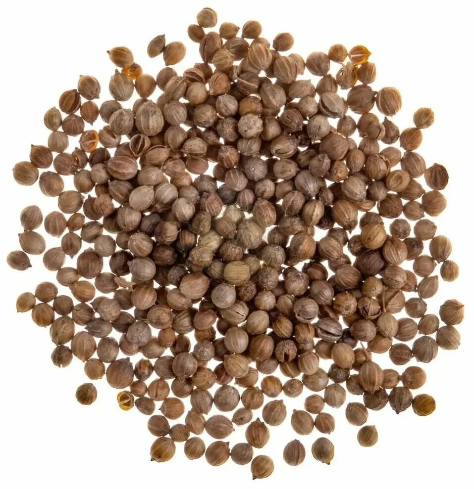 Кориандр цена. Семена кинзы это кориандр. Кориандр семена (кинза) 500 гр. Семена кинза кориандр, 20 гр.. TRS / семена кориандр 100 г.