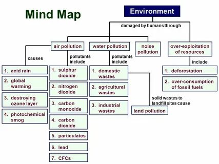 Environmental problems огэ
