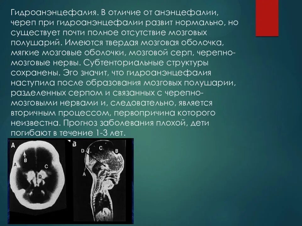 Существование почти. Экологической системе жизнеобеспечения. Существование почти. Существование почти. Проблемы жизнеобеспечения экология.