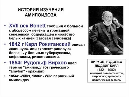 Теории амилоидоза