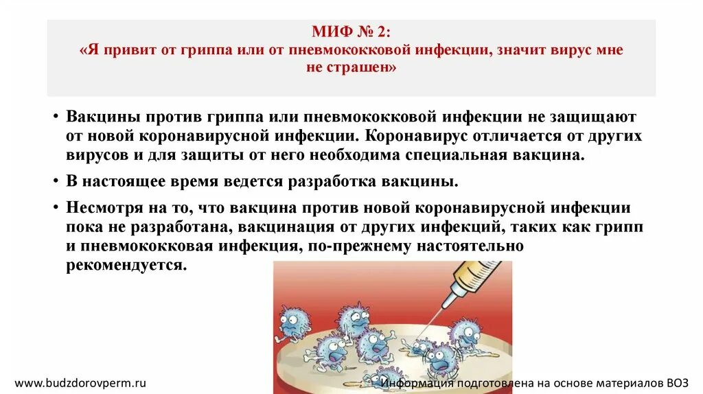 Вакцины реферат. Вакцинация против гриппа и пневмококковой инфекции. 12 Мифов о гриппе. Развенчиваем мифы о сроках. Вакцинация против пневмококковой инфекции памятка для пациентов.