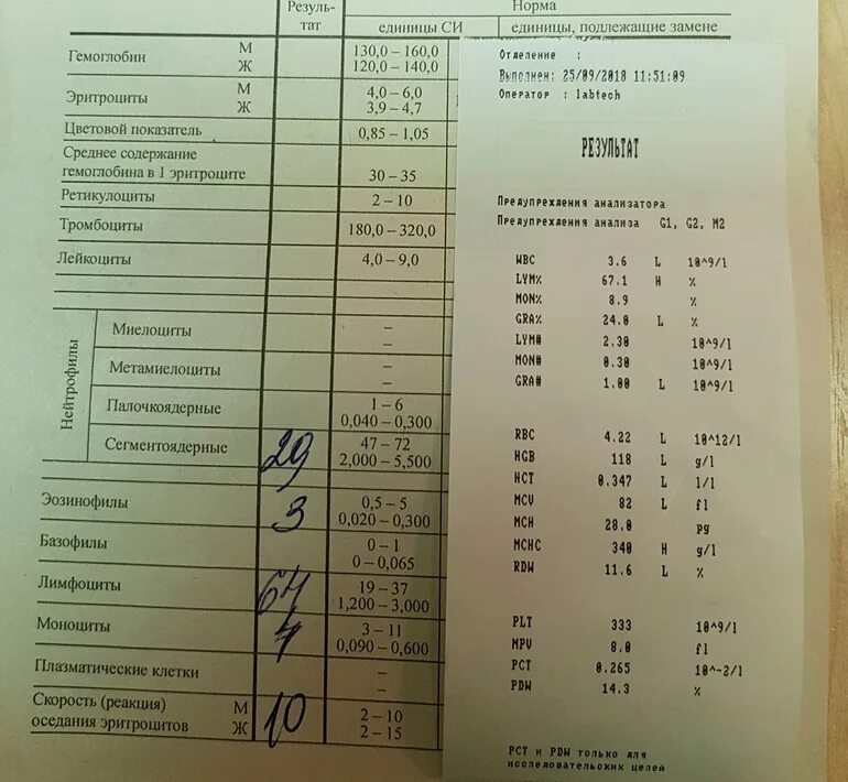 Сколько по времени готовятся анализы крови