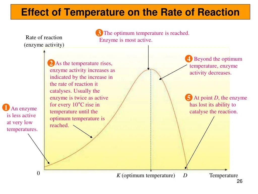 Effect quality. The Effect of the temperature. Dependence of Reaction rate on temperature. Rate of Reaction Formula. Affect of temperature to rate of Reaction.