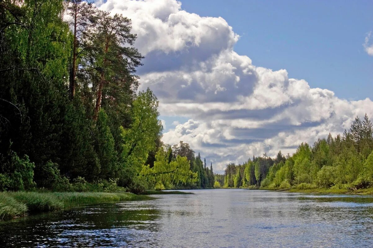 Каме 3 ое. Река Весляна Пермский край. Весляна (приток Камы). Река Весляна приток Камы. Весляна река Пермский край Керос.