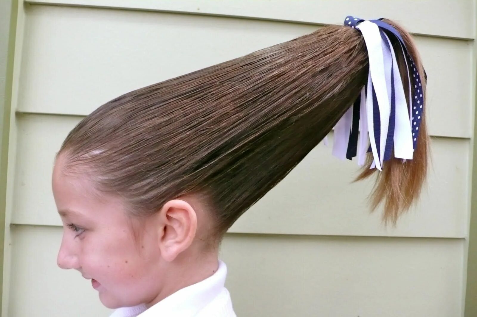 Pin on Kid Tested. Mother Approved.