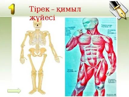 Шұлықтағы түкті жалап порно