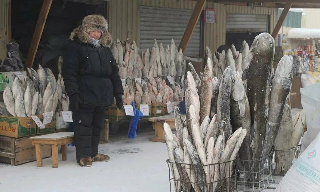 Ямал рыболовный промысел. Зимняя рыбалка приколы. Живая рыба из печки китай. Как на севере топили печи рыбой. Сушеная рыба рынок.