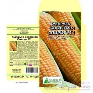 Одно из названий кукурузы сахарной 4