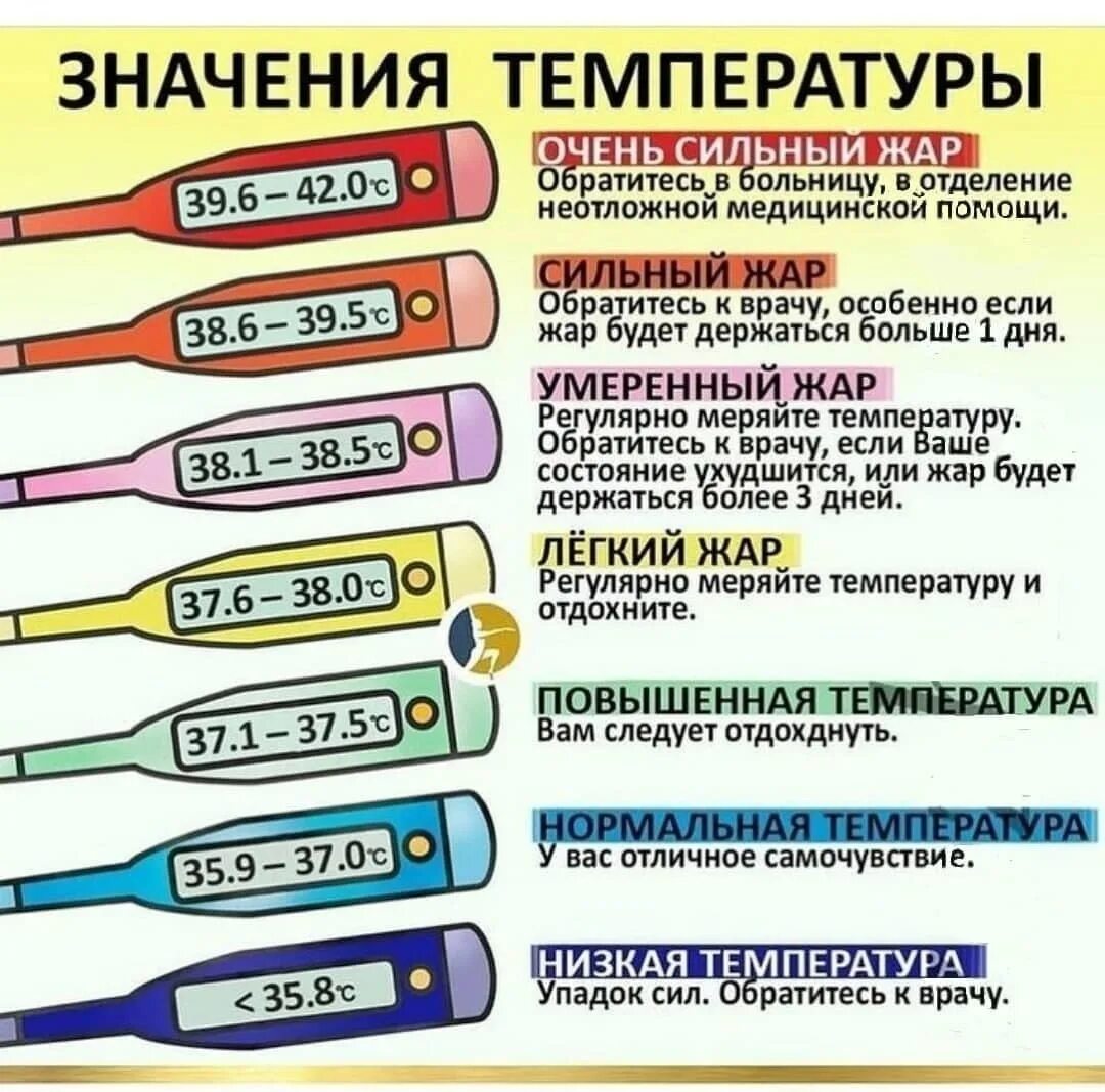 Почему у взрослого человека температура 35.5. Значение температуры. Значение температуры тела. Обозначение температуры тела. Температура у взрослого.