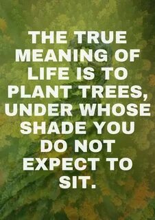 True meaning