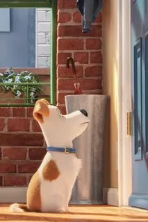 Secret life of pets english