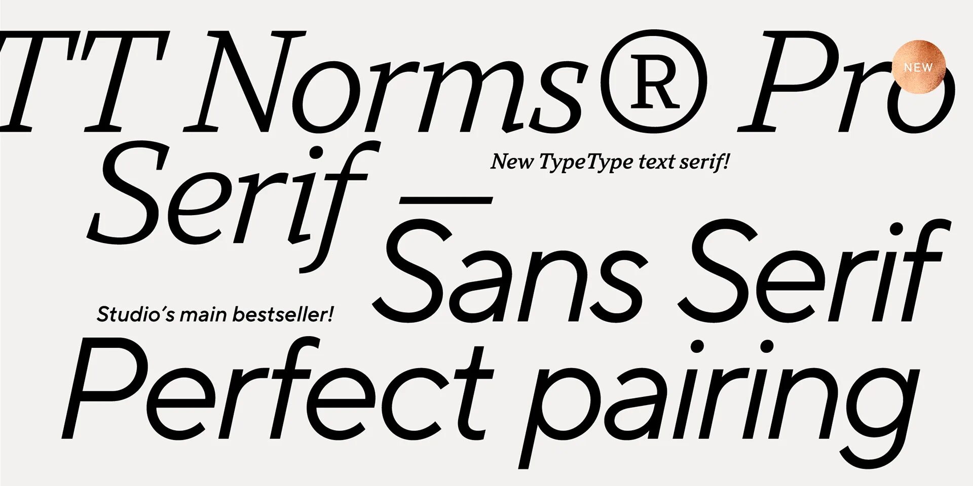 Norms pro шрифт. TT Norms Pro. TT Norms Pro, студия TYPETYPE. Norms font. TT Norms Regular.