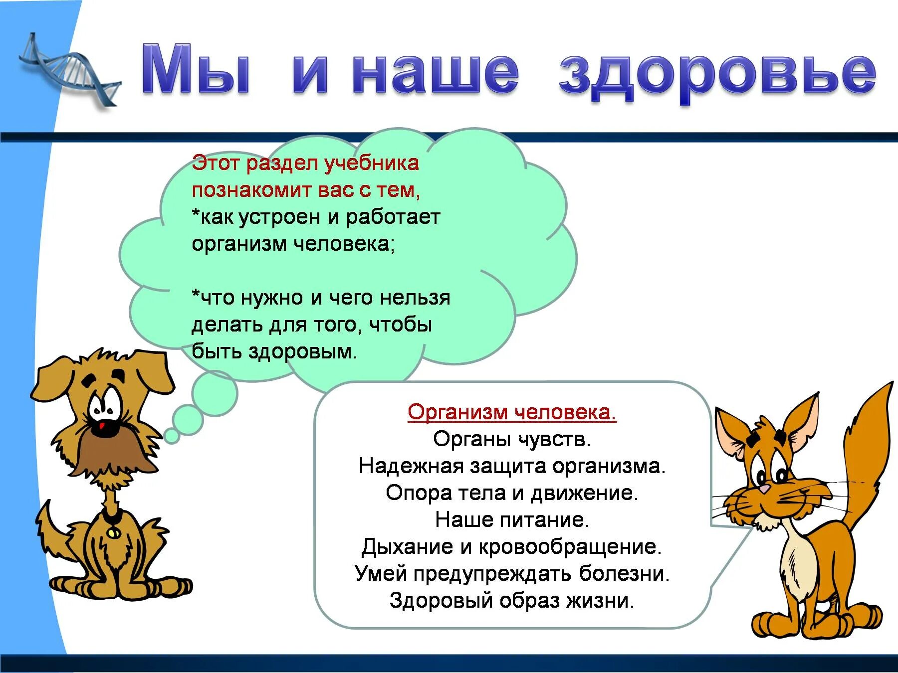 Как работает наш организм презентация 3 класс. Мы и наше здоровье. мы и наше здоровье 3 класс окружающий мир. мы и наше здоровье презентация. организм человека 3 класс презентация.