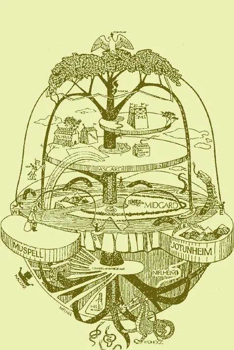 Девять миров 1. Древо мироздания Иггдрасиль. Древо ясень Иггдрасиль. Скандинавская мифология ясеня Иггдрасиль.