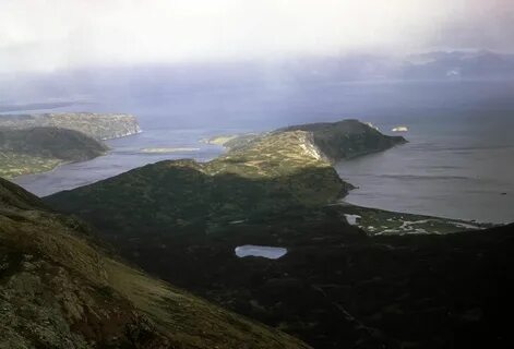 Алеутский остров 4 буквы