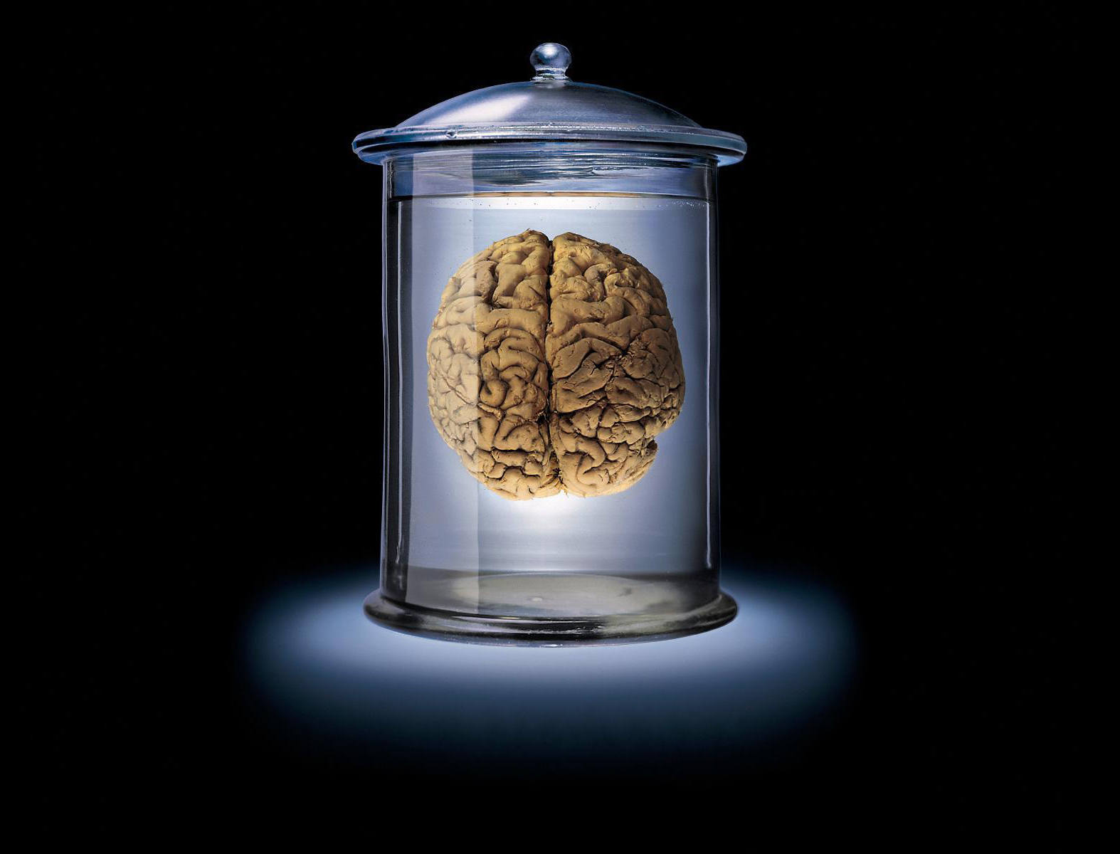 Анатомические органы в формалине. Головы людей в стеклянной банке. Мозг человека в банке. Мозг человека в банке. Мозг человека в банке.