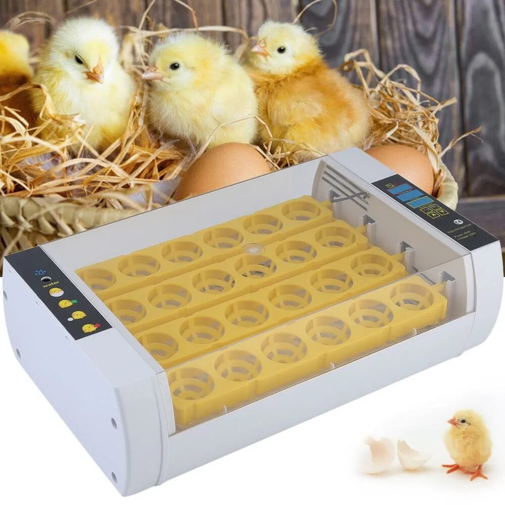 Хорошие инкубаторы для дома отзывы. Инкубатор для яиц автоматический на 20 яиц. Инкубатор для яиц автоматический на 24 яйца. Инкубатор на 240 яиц автоматический. Инкубатор для яиц автоматический на 100 яиц.