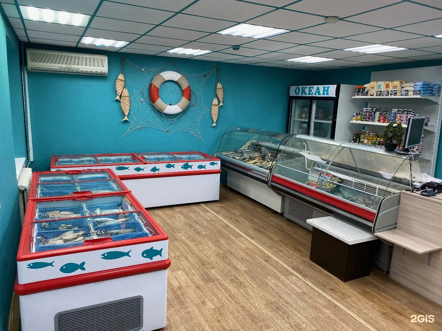 витрина с рыбой. рыбный магазин. интерьер магазина рыбы. рыбное магазин рыбы. рыбное магазин рыбы.
