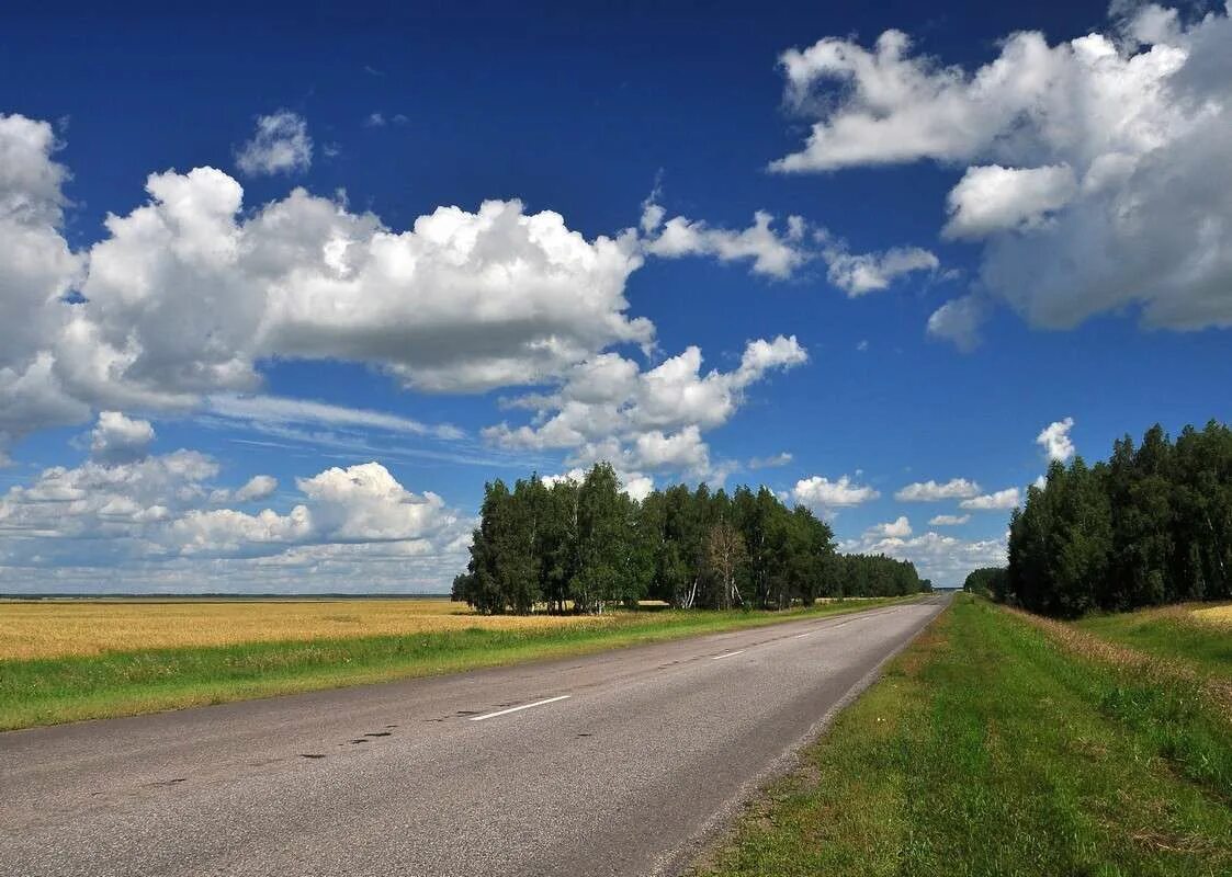 дороги омской области.